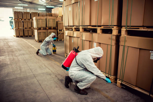 Best Cockroach Control Services  in Hampshire, IL