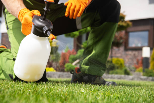 Best Wasp Removal Services  in Hampshire, IL