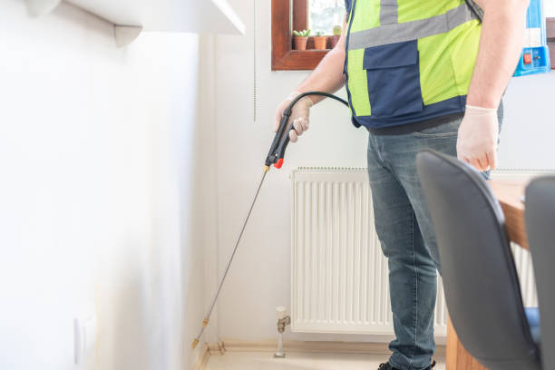 Best Flea Control Services  in Hampshire, IL