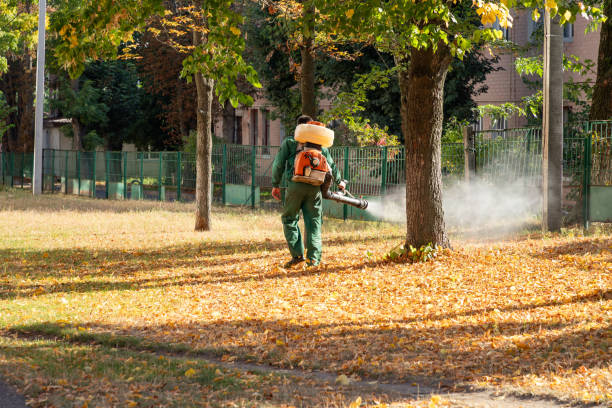  Hampshire, IL Pest Control Pros