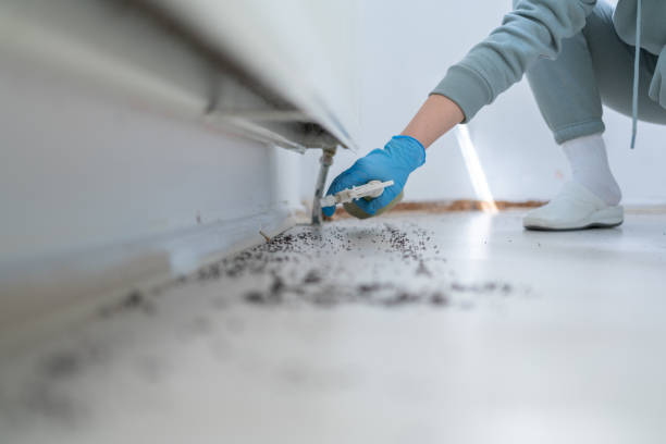 Best Wildlife Control Services  in Hampshire, IL