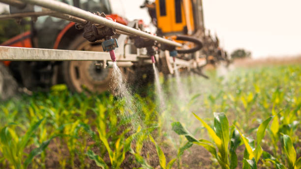 Professional Pest Control in Hampshire, IL